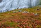 Iceland. Waterfall Dynjandi in Borgarfjordur during autumn. Art Print